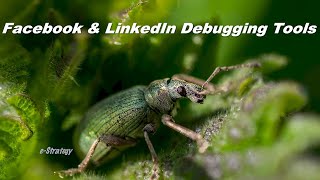 🐞🛠️ Facebook's Debugging Tool & LinkedIn's Post Inspector Tool