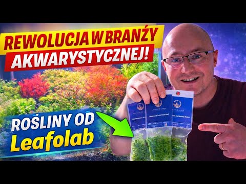Film Nowy sposób na produkcję roślin!!
