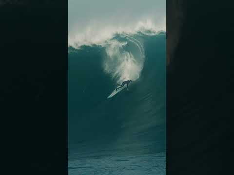 PATAGONIA, INC.