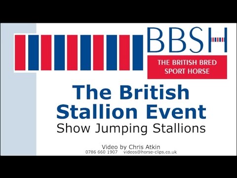 BBSH The Stallion Event 2015 - Show Jumping Stallions