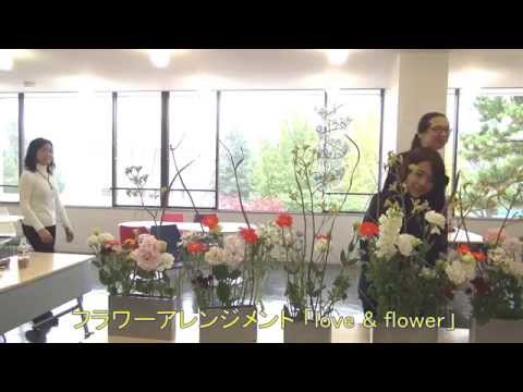 東京経済大学2014葵祭～企画展示編