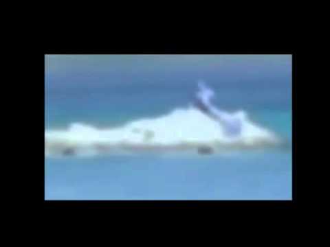 penampakan putri duyung - cumapoker