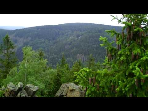 Stempelstelle 4 Taubenklippe - Harzer Wandernadel