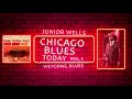 04   Junior Wells   Vietcong Blues