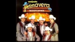 Conjunto Primavera - Negra Cruz