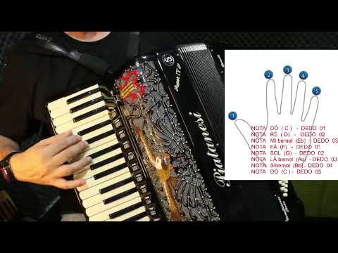 LOGO LOGO lançamento oficial curso iniciantes.