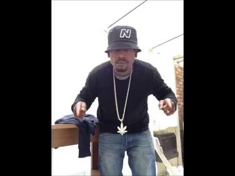 ColliCollie:HIGHGRADE