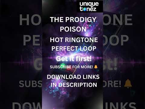 Prodigy Remix - Ringtones Electronica