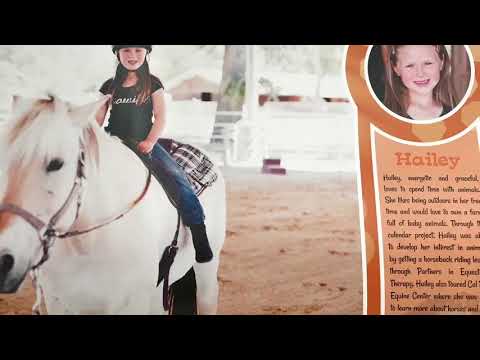 Fun in the sun calendar