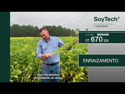 ST 670 I2XSoyTech®: o que está chamando a atenção dos produtores no Rio Grande do Sul?