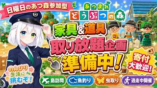 【あつまれどうぶつの森参加型】日曜日のあつ森交流配信！のんびり生活に挑むぞ！家具＆道具取り放題企画の準備・寄付大歓迎｜島訪問＆魚釣り＆虫取り＆逃走中企画開催【VTuber/氷川つき】