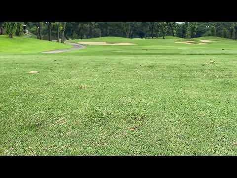 Tommy Armour 845 Silver Scot in gunmetal gray iron strike