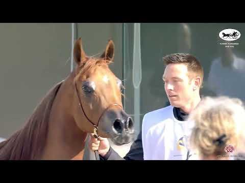 N 161 SMO ALREEM   Kuwait Purebred Arabian Horses Show 2022   Fillies 3 Years Old Class 3A