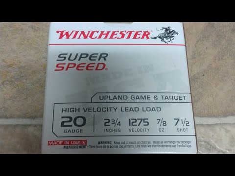 THE AMMO OUTLINED #13- WINCHESTER SUPER SPEED 20 GAUGE 7 1/2 SHOT (USING TURKEY HUNTING YEAR)