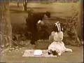 Sesame Street Ernie Bert At The Movies The Picnic