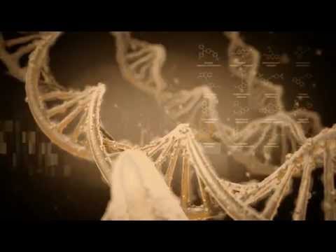 GenomeNext - Customer Success Story (James Hirmas - Co-Founder)