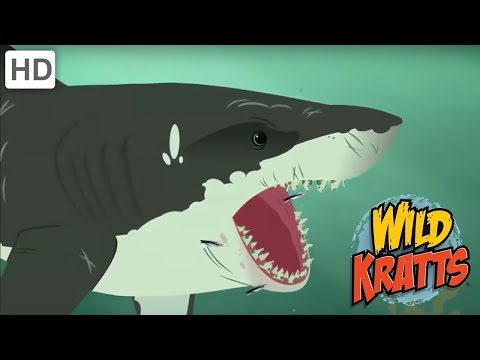 Wild Kratts - The Majestic Sea Creature - Shark Life | Kids Videos