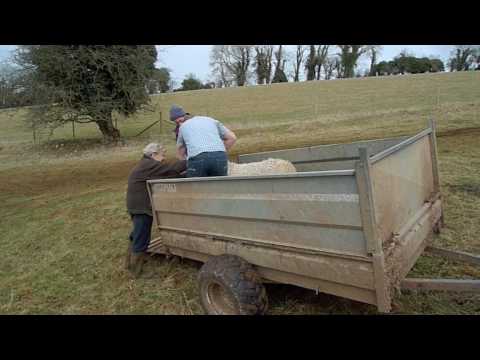 Adam Henson lambing live for Countryfile magazine