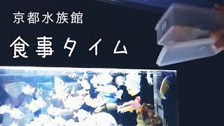 京都水族館