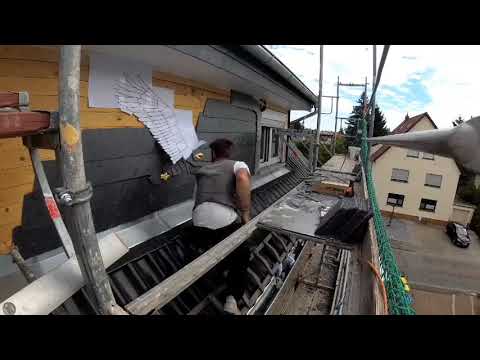 Schieferornament: Weißkopfseeadler in Mannheim - 2020 (ZEITRAFFER)