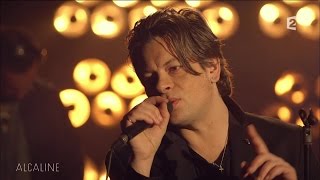 Alcaline, le Mag : Benjamin Biolay - Miss Miss en live