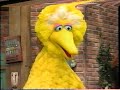 Opening To Sesame Street Big Bird Sings 1995 VHS True HQ