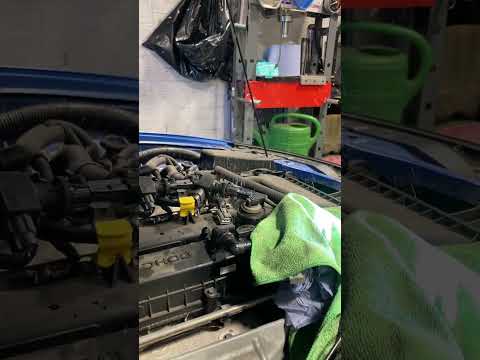 IMG 8247