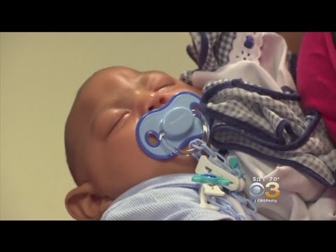 NJ Officials Taking Proactive Fight Against Zika Virus