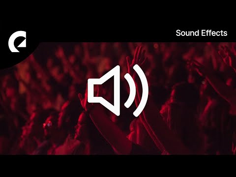 Large Mixed Party Crowd Ambience