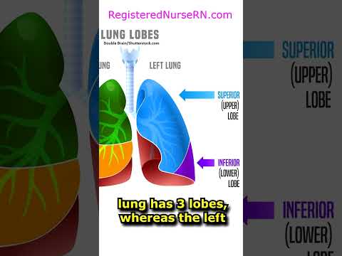 Nurse ASMR Sounds You ll Hear During Nursing Skills shorts asmr