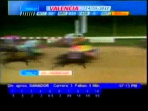 Resumen Jueves, 24 de Mayo de 2012 - Valencia