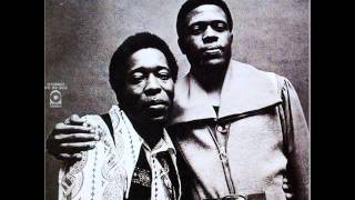 Buddy Guy & Junior Wells - Honeydripper.wmv
