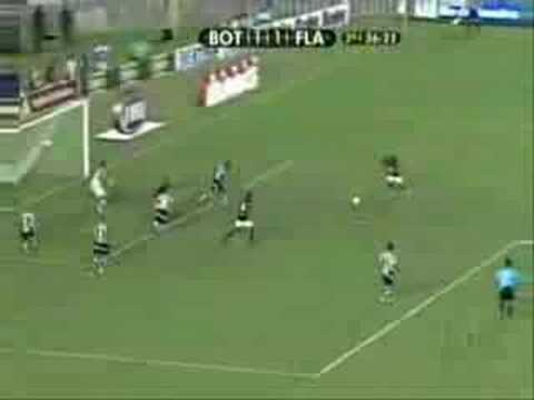 Flamengo Campeão Carioca 2008