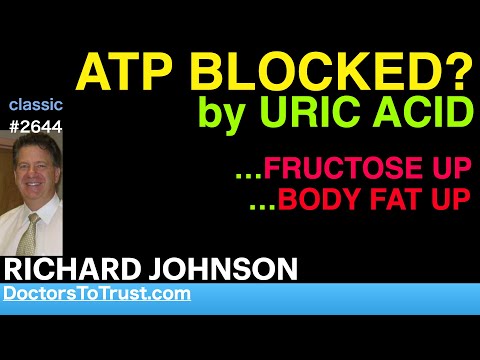 RICHARD JOHNSON | ATP BLOCKED? by URIC ACID   …FRUCTOSE UP   …BODY FAT UP