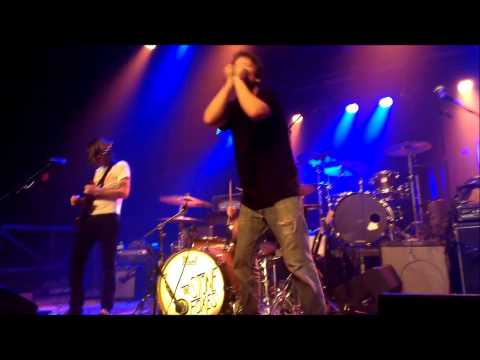 The Stone Foxes - Everybody Knows