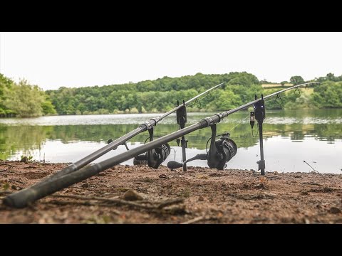 Karpfenangeln am Stausee I LIVE BISS