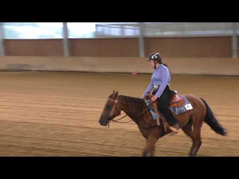 MČR reining mládež 1 kolo 2017