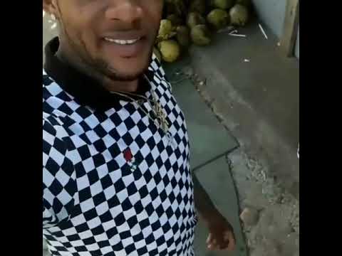 Marvin the Beast & Queen Nikki - on a vacation