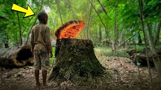 El niño huérfano pasó la noche escondido en un tronco gigante — y descubrió un secreto allí dentro