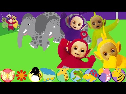 Teletubbies - Animals