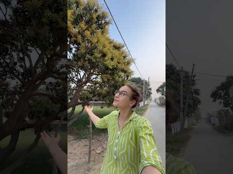 Меня за это посадят?