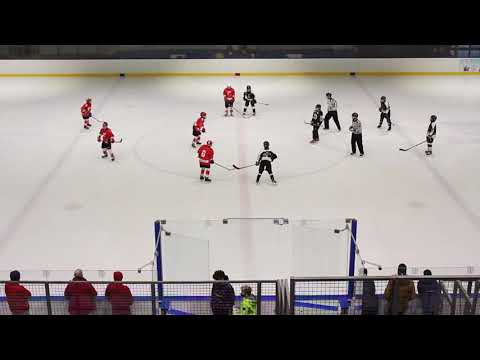 Crvena Zvezda - Partizan U12 - 23/1/2021