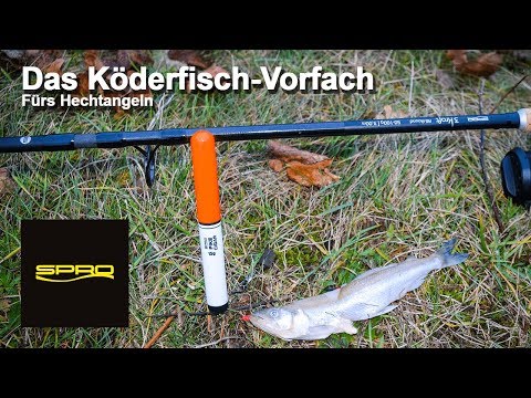 SPRO Know-how - Das Vorfach für das Hechtangeln mit totem Köderfisch - eine Bauanleitung