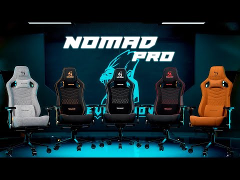 Игровое кресло Evolution Nomad PRO (серый)