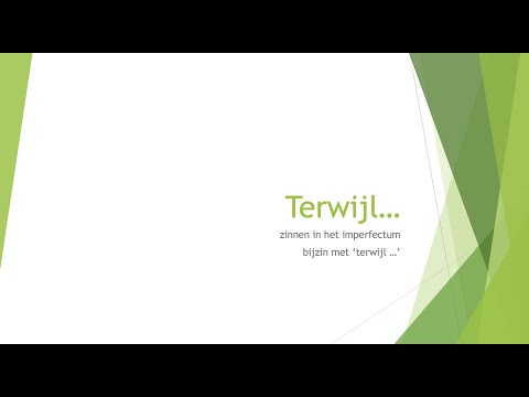 de bijzin met terwijl  - NT2 B1 (2.3-2.4) - C1 (3.1-3.2)