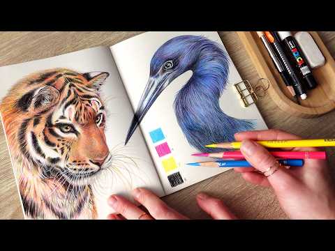 drawing wild animals with ONLY 4 colors | no music, no talking 🌜
