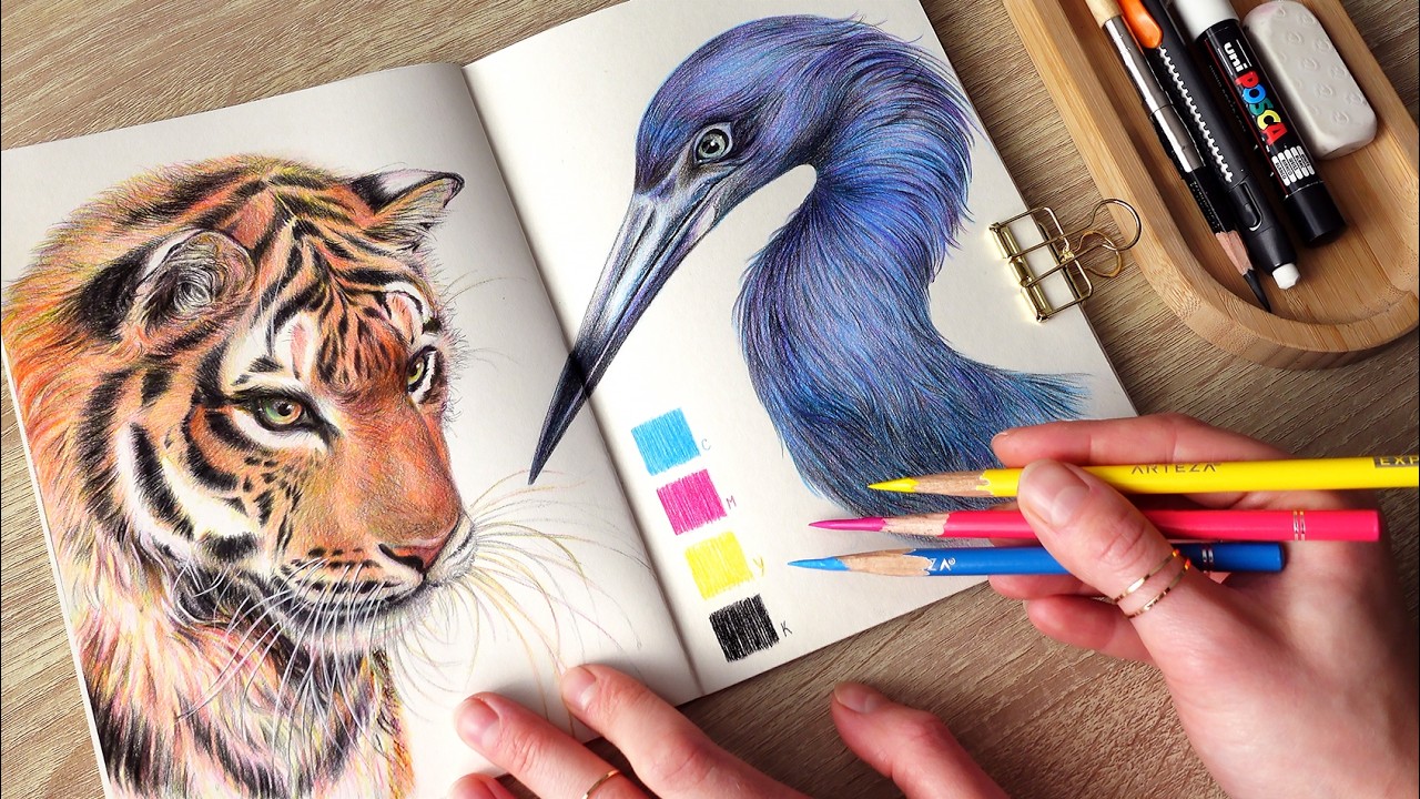 drawing wild animals with only 4 colored pencils / no music 🌙