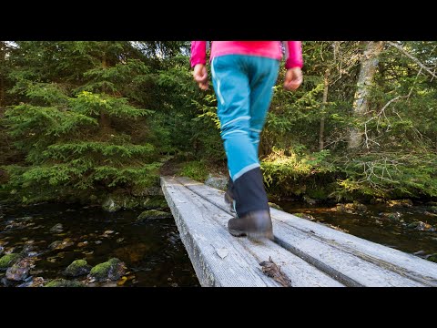 Finster, Finsterer, Finsterau... Wandern im Nationalpark Bayerischer Wald