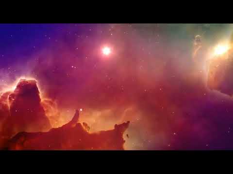 SENZA LEGGE Band Disco Hop