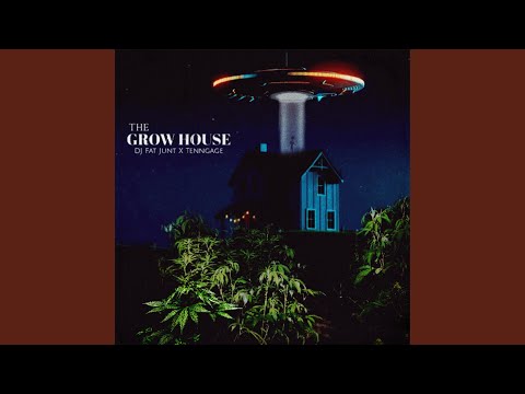 Master Plan (feat. DJ Fat Junt)